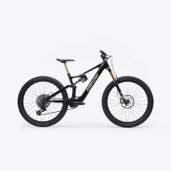 AMFLOW PL CARBON PRO (800WH)