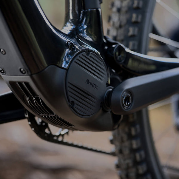 AMFLOW PL CARBON PRO (800WH)
