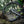 VITTORIA MAZZA TRAIL ANTRACITE 29X2.4