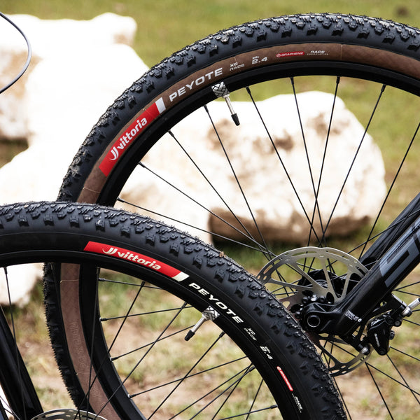 VITTORIA PEYOTE XC RACE PARA 29X2.4
