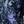FOX W RANGER PANT IMAGE FEEL ARTIC BLUE