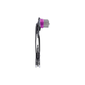 SRAM  GABBIA DI RICAMBIO DERAGLIATORE POSTERIORE X0 T-TYPE EAGLE AXS