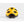 BONTRAGER RALLY WAVECEL HELMET MARIGOLD/BLACK