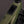 CUBE STEREO HYBRID ONE77 HPC TM 800 REEDGREEN´N´MATRIX