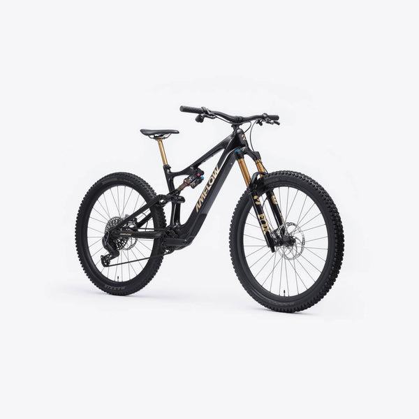AMFLOW PL CARBON PRO (800WH)