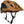 FOX SPEEDFRAME PRO BLOCKED HELMET NUTMEG