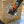FULGUR MULA 880 2024 TAGLIA M