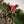 VITTORIA TERRENO PRO T50 MIXED GRAVEL RACE 700X45C