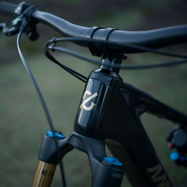 AMFLOW PL CARBON PRO (800WH)