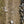 VITTORIA TERRENO T50 MIXED GRAVEL ENDURANCE 700X45C